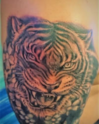 Tattoo mit asiatischem Tigerkopf