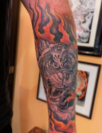 Detailansicht eines Unterarm-Tattoos im traditionellen Stil. Zu sehen ist das detailreich schattierte Gesicht eines brüllenden Tigers (Tora) in Black-and-Grey mit weit geöffnetem Maul. Das Motiv wird oben am Ellenbogen und unten am Handgelenk von intensiv roten und orangefarbenen Flammenstrukturen umrahmt, gestochen von BIG WAVE TATTOO PRIVATE & ART.