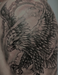 Großflächiges Traditional-Tattoo auf der Schulter und dem Oberarm im Black-and-Grey-Stil. Zu sehen ist ein detailreich schattierter Adler mit ausgefahrenen Krallen und weit geöffneten Flügeln im Sturzflug vor einem Hintergrund aus weichen Wolkenstrukturen, gestochen von BIG WAVE TATTOO PRIVATE & ART.