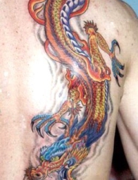 Großflächiges japanisches Rückentattoo auf der rechten Körperhälfte. Zu sehen ist ein detailreich geschuppter Drache (Ryu) mit goldenem Körper, rot-orangefarbenen Flammenkämmen und scharfen Krallen, der nach unten in einen blau-türkisfarbenen Drachenkopf mündet, gestochen von BIG WAVE TATTOO PRIVATE & ART.