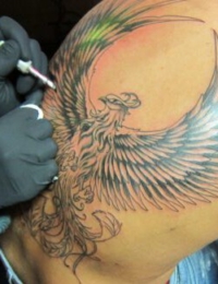 Nahaufnahme während des Tätowierens auf dem oberen Rücken. Die Hände eines Tätowierers mit schwarzen Handschuhen führen eine Tattoomaschine über das feine Linework eines japanischen Phönix (Hōō) mit weit ausgebreiteten Flügeln, gestochen von BIG WAVE TATTOO PRIVATE & ART.