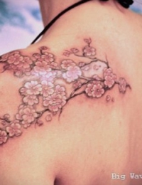 Elegantes japanisches Tattoo eines Kirschblütenzweigs (Sakura) auf der linken Schulter und dem oberen Rücken einer Frau. Der geschwungene Ast ist in Graustufen schattiert, während die feinen Blüten in sanften Rosatönen gestochen sind, gefertigt von BIG WAVE TATTOO PRIVATE & ART.