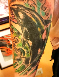 Detailansicht eines Tattoos im traditionellen Stil auf einem Arm. Zu sehen ist ein Schwertwal (Orca) mit weit geöffnetem Maul und spitzen Zähnen, der aus wirbelnden, grün und türkis schattierten Meereswellen mit Gischtblasen emportaucht, gestochen von BIG WAVE TATTOO PRIVATE & ART.