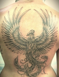 Großflächiges Rückentattoo eines Phönix in Black-and-Grey. Zu sehen ist die Rückenansicht einer Person mit dem detailreich schattierten Fabelwesen, das symmetrisch ausgebreitete Flügel auf den Schulterblättern und lange, geschwungene Schwanzfedern auf dem unteren Rücken zeigt, gestochen von BIG WAVE TATTOO PRIVATE & ART.