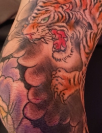 Detailansicht eines farbigen japanischen Tattoos im Bereich eines Gelenks. Zu sehen ist ein zornig brüllender Tiger (Tora) mit orange-gelbem Fell und grünen Augen, der sich umgeben von dichten, dunklen Wolkenschattierungen nach unten bewegt. Links daneben blüht eine große, violette Pfingstrose, gestochen von BIG WAVE TATTOO PRIVATE & ART.