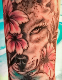Detailansicht eines Tattoos auf einem Arm oder Bein. Zu sehen ist das in Graustufen schattierte Gesicht eines Wolfes, dessen rechte Seite kunstvoll von pinken und türkisfarbenen Hibiskusblüten verdeckt wird. Über dem Kopf befindet sich ein filigranes Mandala-Linework, gestochen von BIG WAVE TATTOO PRIVATE & ART.