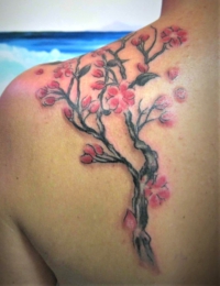 Elegantes japanisches Tattoo eines Kirschblütenzweigs (Sakura) auf der rechten Schulter und dem oberen Rücken. Der Ast ist in Graustufen schattiert, die Blüten und Knospen sind in zarten Rosa- und Rottönen gestochen, umgeben von herabfallenden Blütenblättern, von BIG WAVE TATTOO PRIVATE & ART.