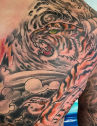 Großflächiges japanisches Tattoo auf der Brust und Schulter eines Mannes. Zu sehen ist ein detailreich gestreifter, brüllender Tiger (Tora) mit giftgrünen Augen inmitten von traditionellen, dunkel schattierten Sturmwolken und scharfkantigen, rot-orangefarbenen Blitzen, gestochen von BIG WAVE TATTOO PRIVATE & ART.